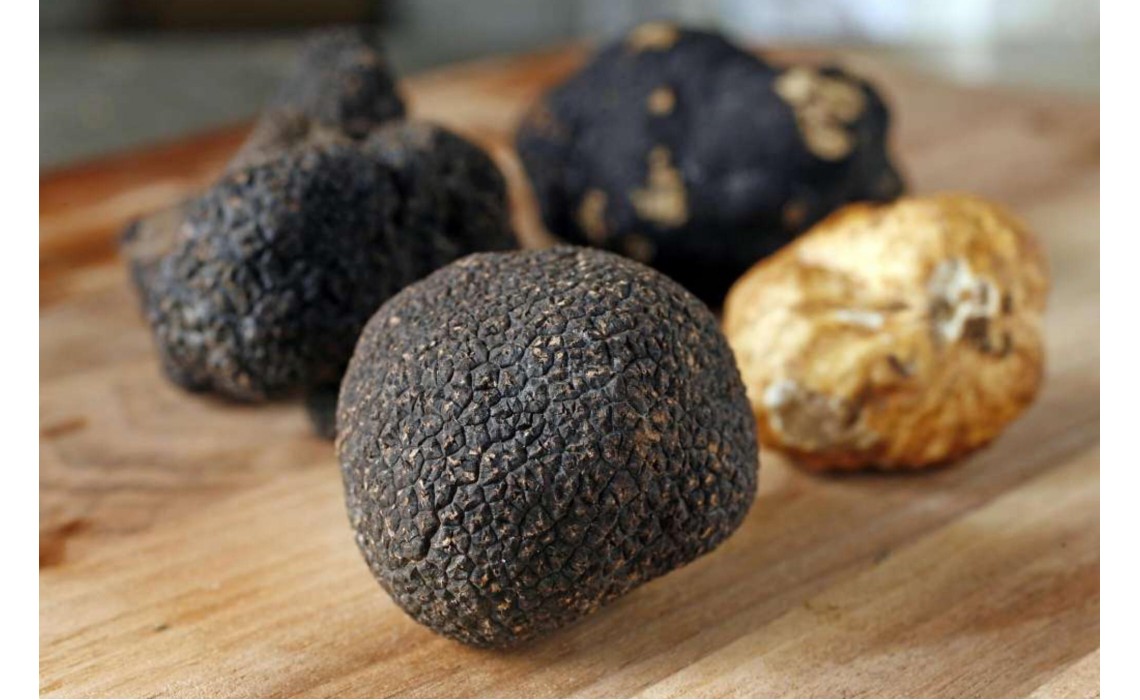 Трюфели – колко струват на килограм?