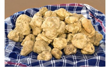 Трюфели – скъпоценният деликатес, който заслужава вниманието ви